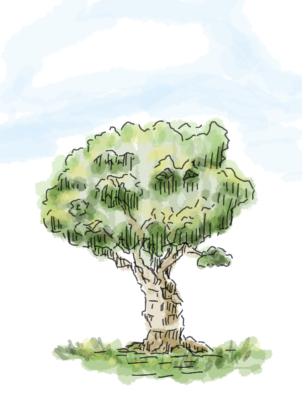 Document-20250818235426-744187.png.png