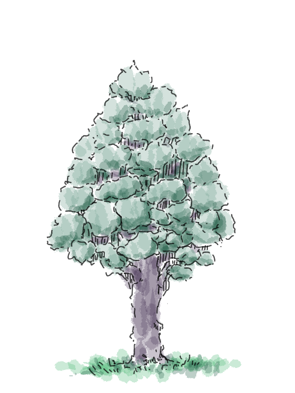 Document-20250819082352-658724.png.png